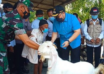 Jual Kambing Untuk Beli Beras, Mbah Katimin Kena Tipu
