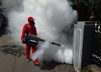 Kasus DBD Meningkat, Dinkes Kota Kediri Gencarkan Fogging