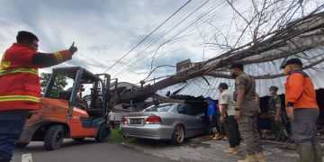 Pohon Ambruk Menimpa Bengkel dan Mobil di Tulungagung