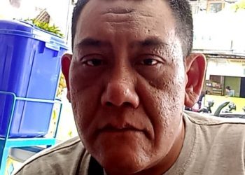 Sistem Kepegawaian Daerah Dalam Format Integrated Personel System