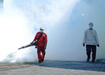 2 Anak Meninggal Dunia Terjangkit DBD di Tulungagung