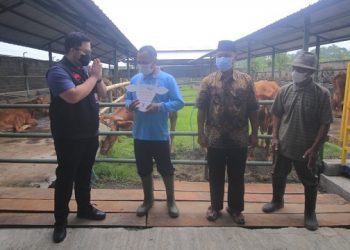 Canangkan Kemandirian Pangan, Mas Dhito Hibahkan Sapi