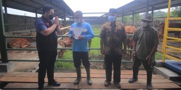 Canangkan Kemandirian Pangan, Mas Dhito Hibahkan Sapi