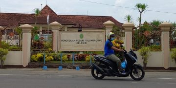 Terdakwa kasus kucing ciu divonis di Pengadilan Negeri Tulungagung. Foto: Bacaini/Setiawan