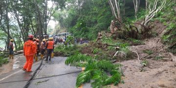 Pembersihan Material longsor di jalur Trenggalek-Ponorogo. Foto: Baacaini/Aby