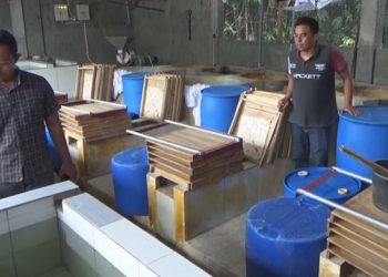 Putus Asa Kedelai Mahal, Sentra Tahu Jombang Stop Produksi