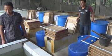 Salah satu tempat produksi tahu di Jombang terlihat sepi. Foto: Bacaini/Syailendra