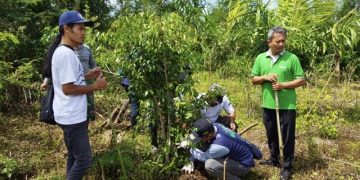 Para peserta tanam pohon ficus di lereng Gunung Kelud. Foto: Bacaini/Novira