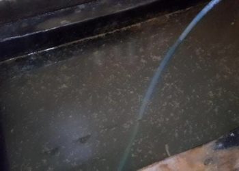 Ratusan Sumur Milik Warga Kota Kediri Tercemar dan Bau