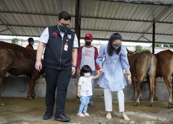 Mas Dhito Ajak Anaknya Monitoring Kandang Sapi Komunal