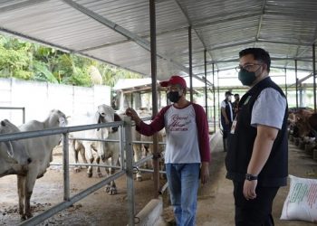 Bupati Apresiasi Kesuksesan Kelompok Tani Olah Limbah Sapi