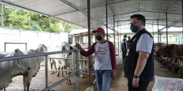 Bupati Dhito kunjungi desa korporasi sapi. Foto: Ist
