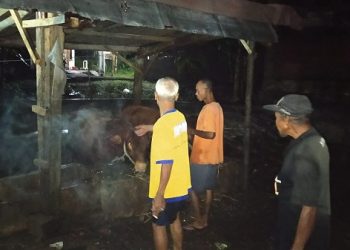 Banjir Rendam Sebagian Kota Malang, 2 Sapi Tewas