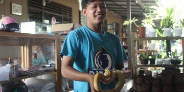 Salah satu koleksi ular piton milik Zaenal Arifin. Foto: Bacaini/Setiawan
