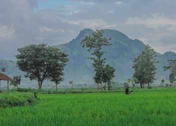 Gunung Budeg Tulungagung Sudah ada Sejak Zaman Purba