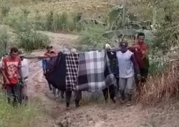 Viral, Warga Jombang Pikul Orang Sakit Pakai Sarung