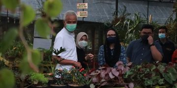 Ganjar Pranowo dan istri bersama Mas Dhito di wisata Kampung Anggrek. Foto:Bacaini/Novira