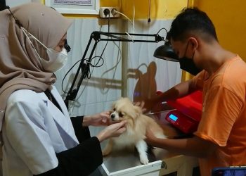 Pergi Mudik, Warga Tulungagung Titipkan Hewan Peliharaan