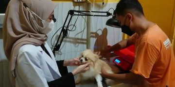 Pemeriksaan hewan peliharaan sebelum ditinggal pemiliknya. Foto: Bacaini/Setiawan