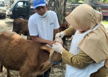 Waspadai Mulut Kuku, Pemkab Kediri Sidak Pasar Hewan