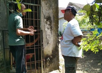 10 Tahun, ODGJ di Tulungagung Dipasung Keluarganya