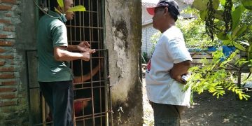 Salah satu ODGJ yang sudah dibebaskan Dinkes Tulungagung. Foto: Dinkes Tulungagung.