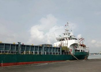 Pelabuhan Tanjung Perak Tolak Transit Kapal Muat Sapi Asal Kupang