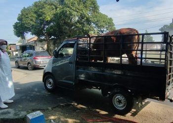 Masuk Perbatasan Kabupaten Kediri, 10 Kendaraan Muat Sapi Dipaksa Putar Balik