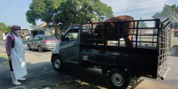 Salah satu kendaraan muat sapi disemprot desinfektan sebelum putar balik. Foto: Bacaini/AK.Jatmiko