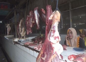 Dampak PMK, Penjualan Daging Sapi di Jombang Anjlok