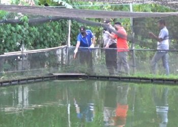 5 Bulan, 10 Korban Tewas Tenggelam di Kolam Ikan Tulungagung
