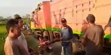 Truk gandeng terjebak di jalan tengah sawah viral di medsos. Foto: Tangkapan layar video.