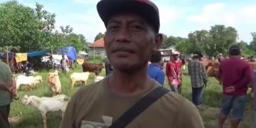 Salah satu pedagang kambing di pasar hewan Burneh, Bangkalan. Foto: Bacaini/Rusdi