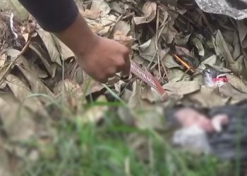 Jasad Bayi Terbungkus Plastik Gegerkan Warga Jombang