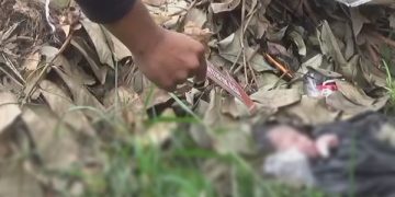 Proses identifikasi penemuan jasad bayi di Jombang. Foto: Bacaini/Syailendra