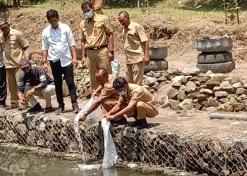 Jaga Ketahanan Pangan, Pemkab Kediri Sebar 45 Ribu Benih Ikan