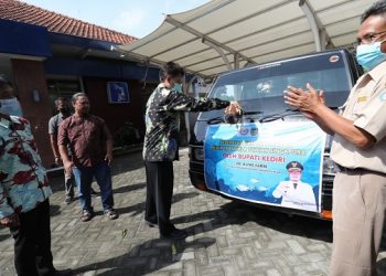 Pemkab Kediri Ekspor 60 Ribu Bibit Ikan Nila ke Singapura