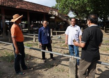 Pasar Hewan Kota Kediri Kembali Dibuka