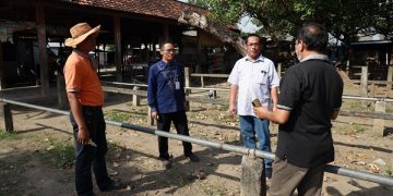 Peninjauan persiapan pembukaan kembali pasar hewan Kota Kediri. Foto: Ist