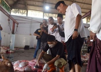 Wali Kota Kediri Tinjau Proses Pemotongan Hewan Kurban