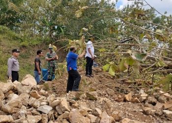 Pekerja Tambang Batu di Tulungagung Tewas Tertimpa Pohon