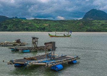 Masih Banyak Nelayan Benur Ilegal di Tulungagung