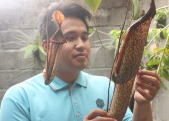 Pemuda Tulungagung Sukses Budidaya Tanaman Pemakan Serangga