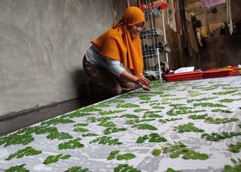 Minim Bahan, Warga Trenggalek Sukses Bisnis Ecoprint