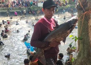 Warga Kediri Berebut Ikan Jumbo di Sumber Gundi