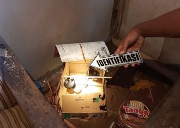 Bocah SD di Trenggalek Tewas Kesetrum Saat Bermain Anak Ayam