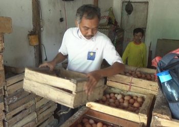 Harga Telur dan Daging Ayam di Jombang Kompak Naik
