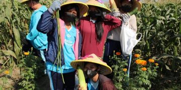 Siswi SMP Kristen Petra antusias menunjukkan hasil pertanian yang mereka panen sendiri. Foto: Ist