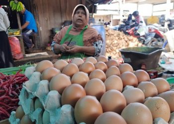 Harga Telur di Pasar Trenggalek Melonjak