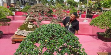 Pameran bonsai di Pasar Pon Trenggalek. Foto: Bacaini/Aby